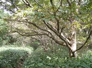 c0077338_16495551.jpg