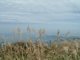 c0077338_16502188.jpg