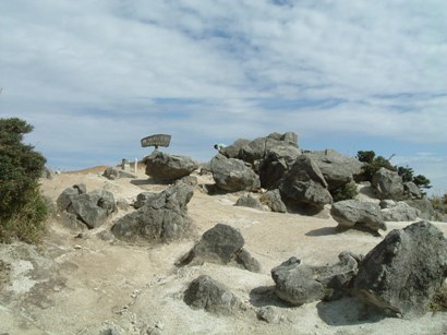 c0077338_1650879.jpg
