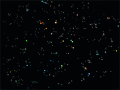 e0005548_2255595.gif