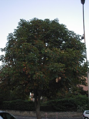 c0086649_12503224.jpg