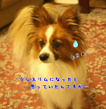 d0013149_1344316.jpg