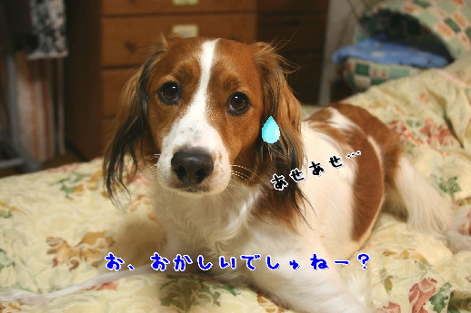 d0013149_1375832.jpg