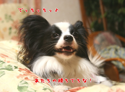 d0013149_1405030.jpg