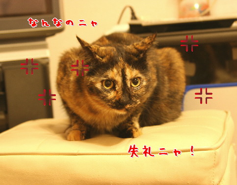 d0013149_2103163.jpg