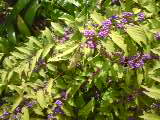 a0087950_18564027.jpg