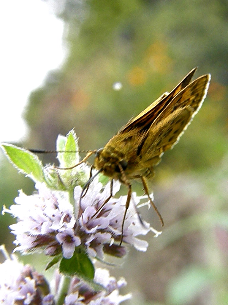 e0064158_005014.jpg