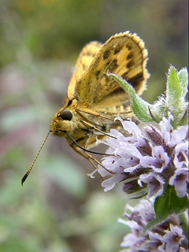 e0064158_021445.jpg