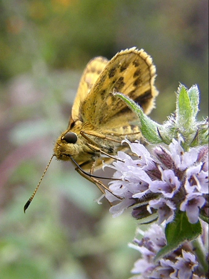 e0064158_024850.jpg