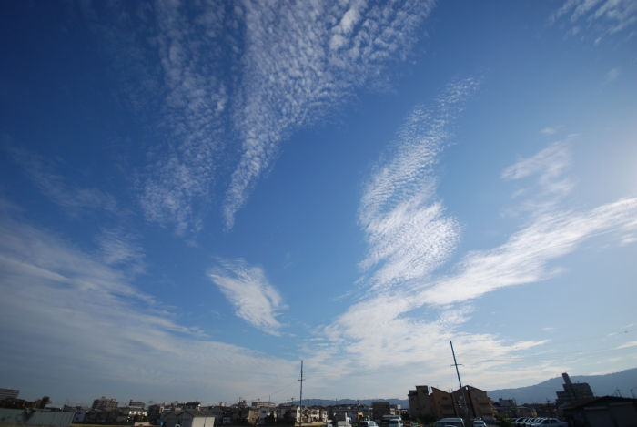 c0123759_0151467.jpg