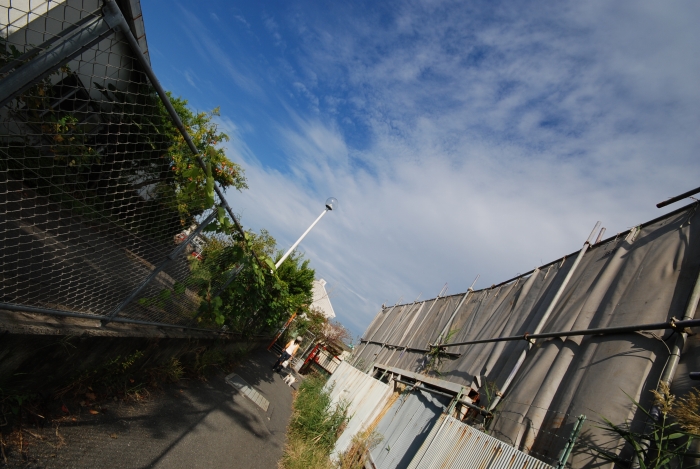 c0123759_020196.jpg