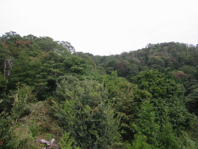 d0094868_19355291.jpg
