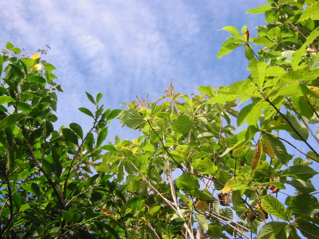 d0094868_1936784.jpg