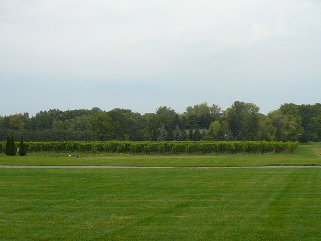 a0100975_9484189.jpg