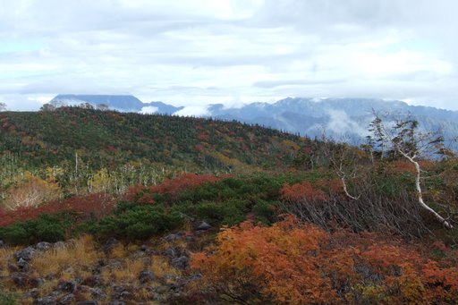 f0054075_20161538.jpg