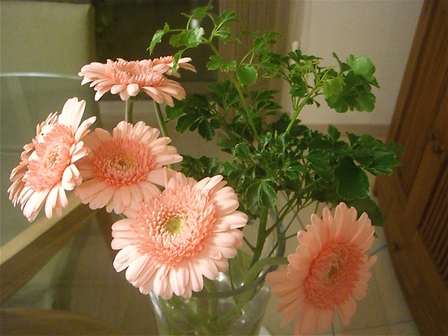 e0018777_20393867.jpg