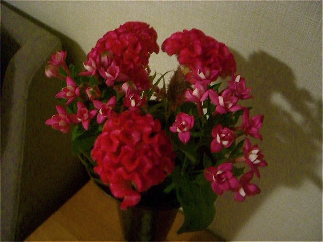 e0018777_20411056.jpg