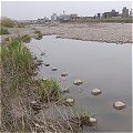 c0091679_14185142.jpg