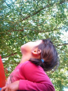 f0136579_0575243.jpg