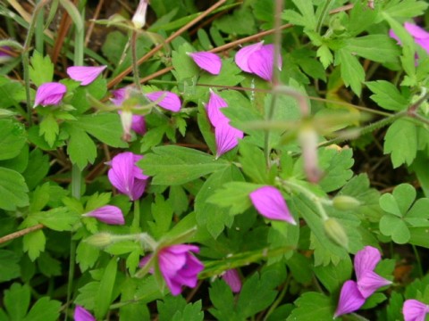 a0079880_213823100.jpg