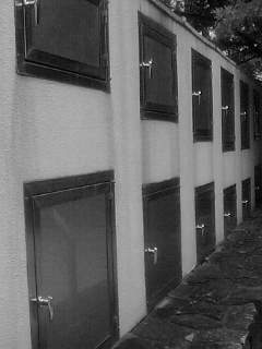 f0100480_1635391.jpg