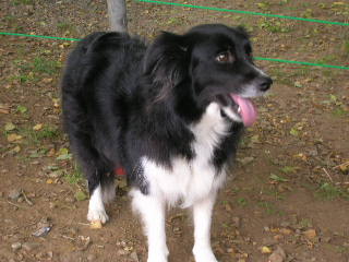 c0123890_20125924.jpg