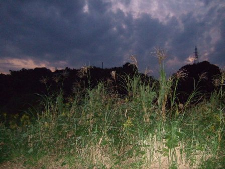 b0087400_23225140.jpg