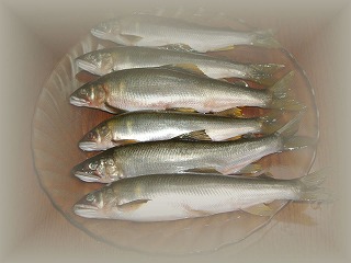 c0125501_2138117.jpg