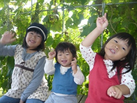 d0016003_13581699.jpg