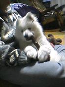 e0018604_14375640.jpg