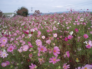 f0092416_1637.jpg