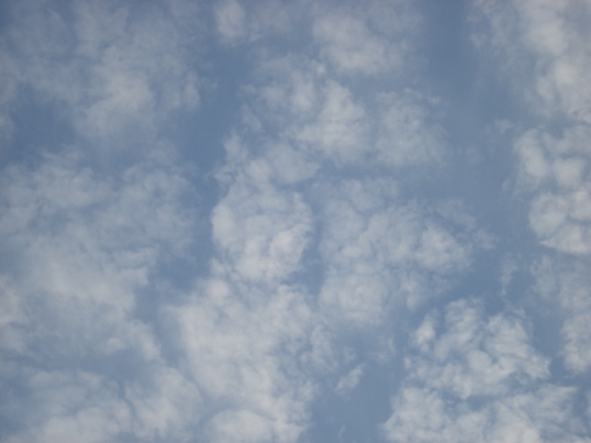 e0110719_17123214.jpg