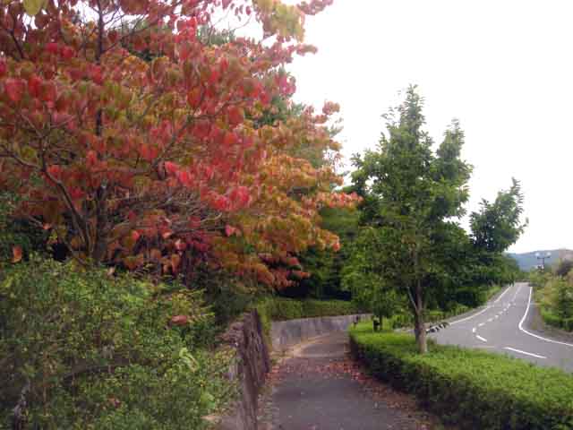 e0083820_10381570.jpg
