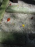 c0094621_10221754.jpg