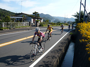 d0023725_12364526.jpg