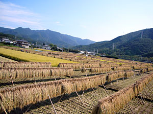 d0023725_12365253.jpg