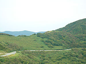 d0023725_1238195.jpg