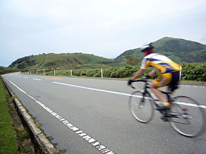 d0023725_1238911.jpg