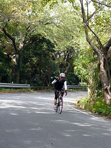 d0023725_1255246.jpg