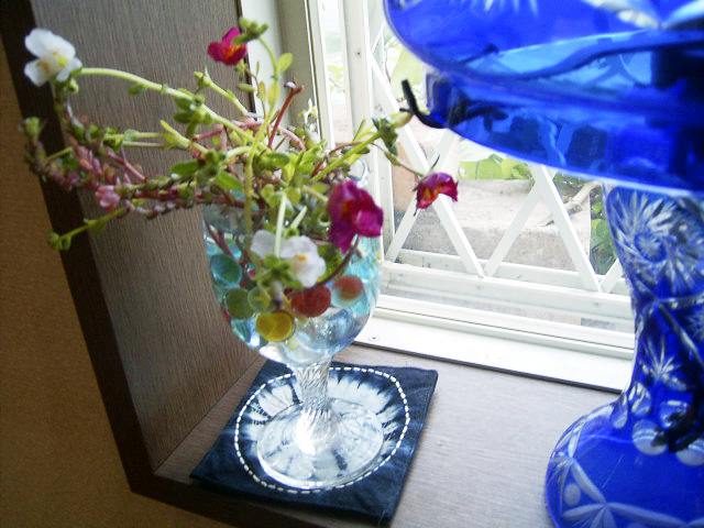 e0042626_0104989.jpg