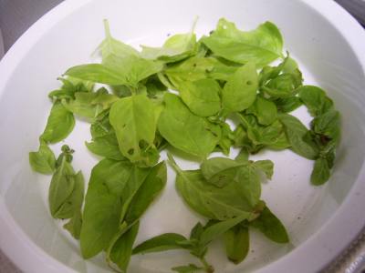 e0042626_013339.jpg