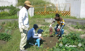 e0100826_7451980.jpg