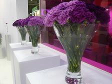 c0139527_1549195.jpg