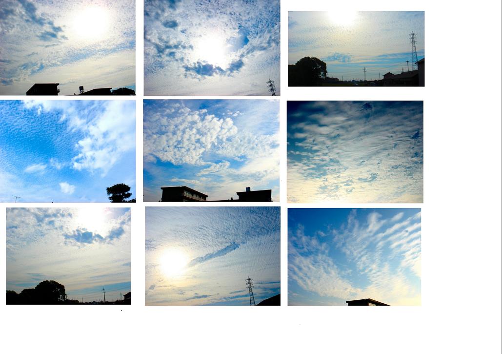 d0118729_16154826.jpg
