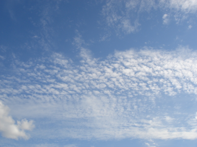 f0131934_21382384.jpg