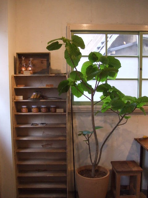 c0071545_22532713.jpg