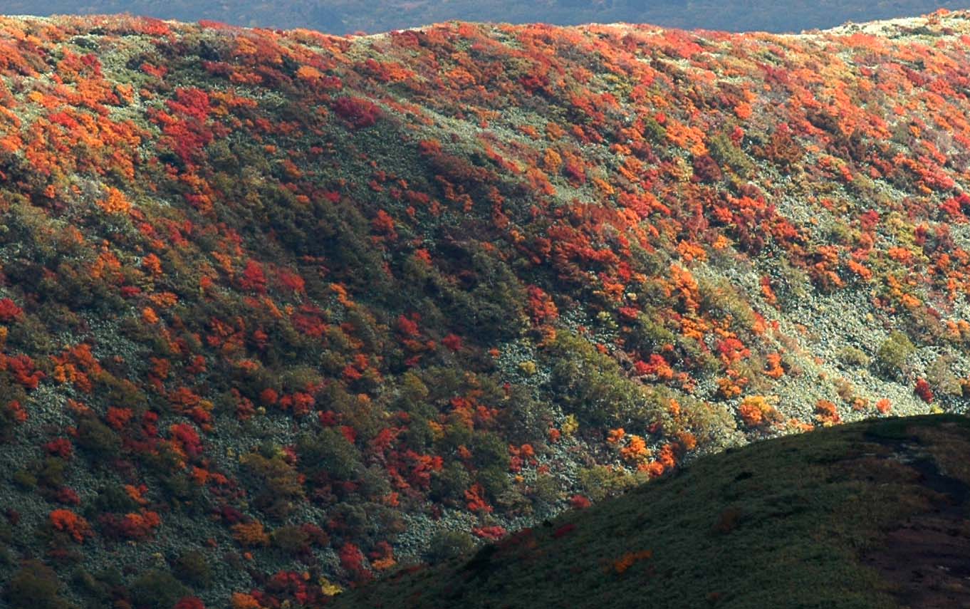 c0077847_2329391.jpg
