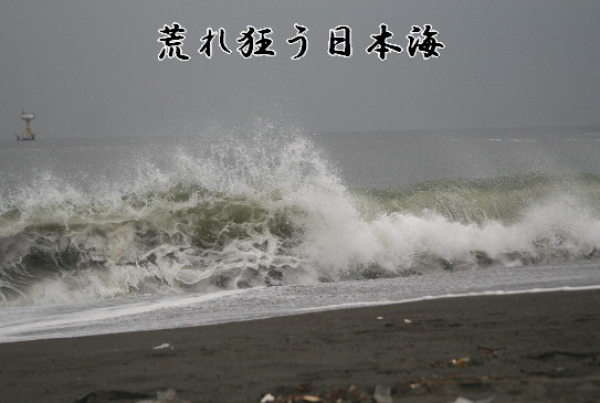 d0013149_21254743.jpg