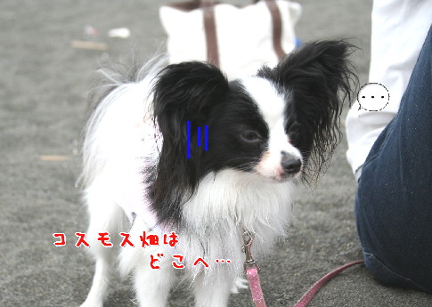 d0013149_2128018.jpg
