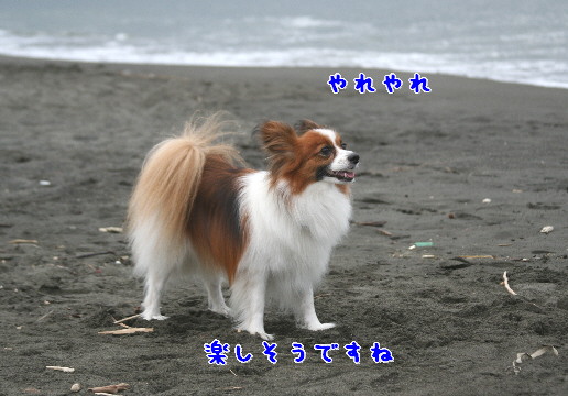 d0013149_21425352.jpg